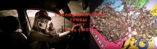 дмт Осинники