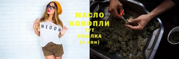 дмт Осинники