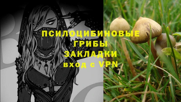 дурь Остров
