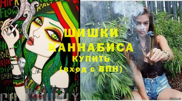 дмт Осинники