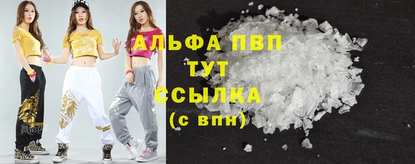дмт Осинники